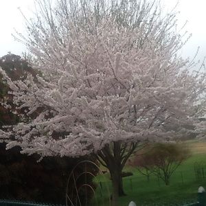 Meet your Posher, Crol